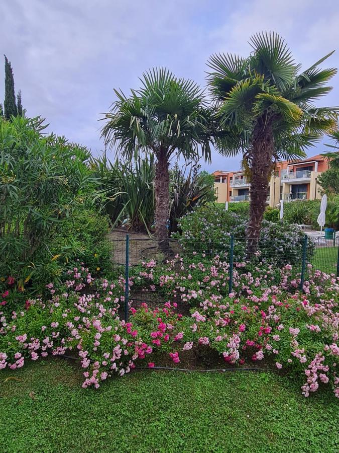 Appartamento Con Vista A Cavallino Venezia Zewnętrze zdjęcie