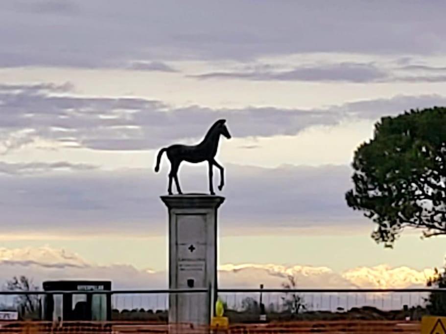 Appartamento Con Vista A Cavallino Venezia Zewnętrze zdjęcie