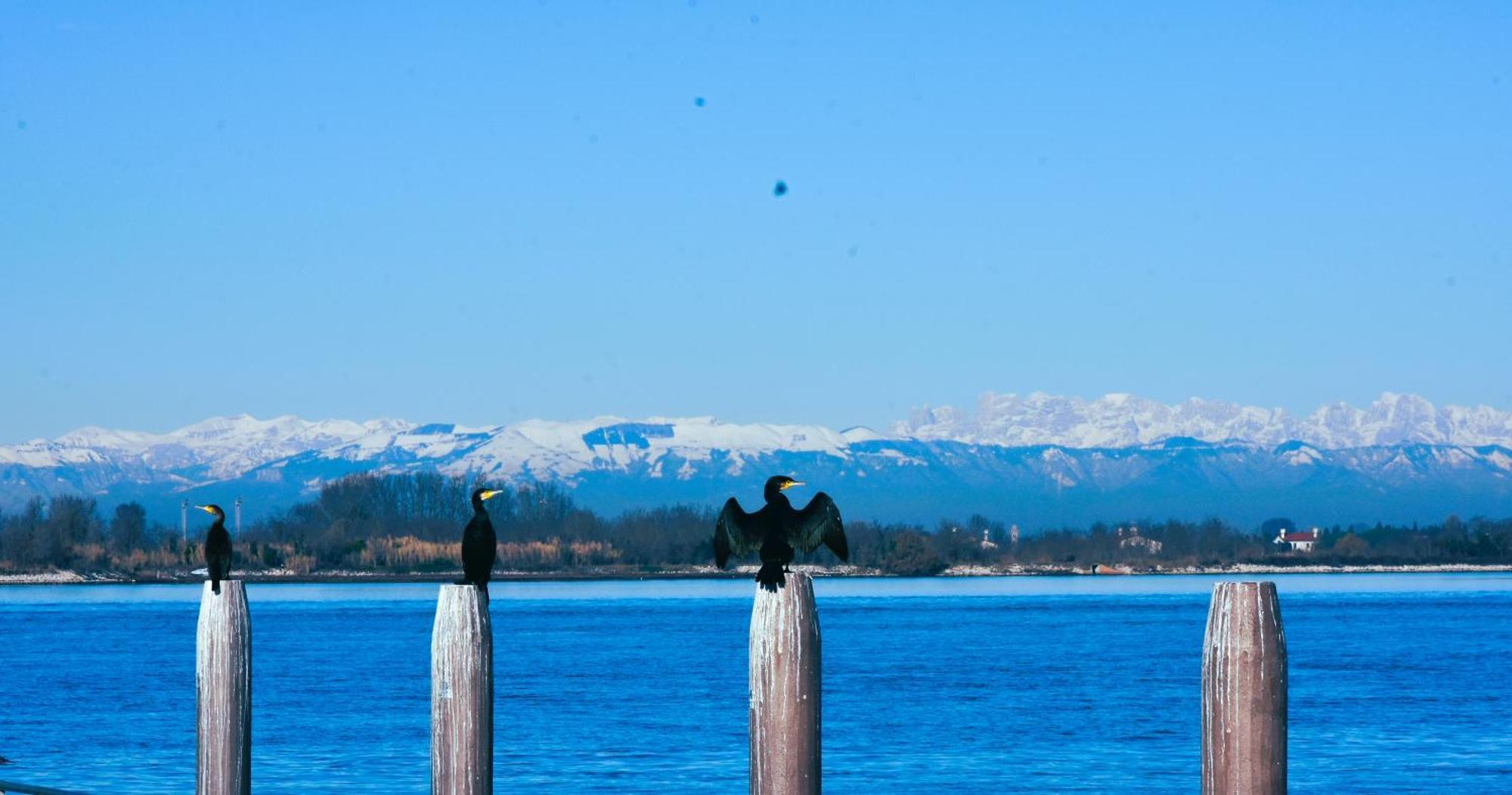 Appartamento Con Vista A Cavallino Venezia Zewnętrze zdjęcie